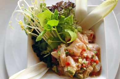 Viña Matetic experiencias PlanV Chile