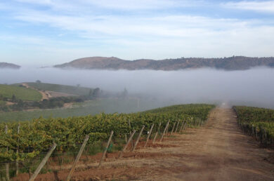 Viña Matetic experiencias PlanV Chile