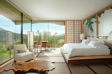 Viña VIK experiencias PlanV Chile