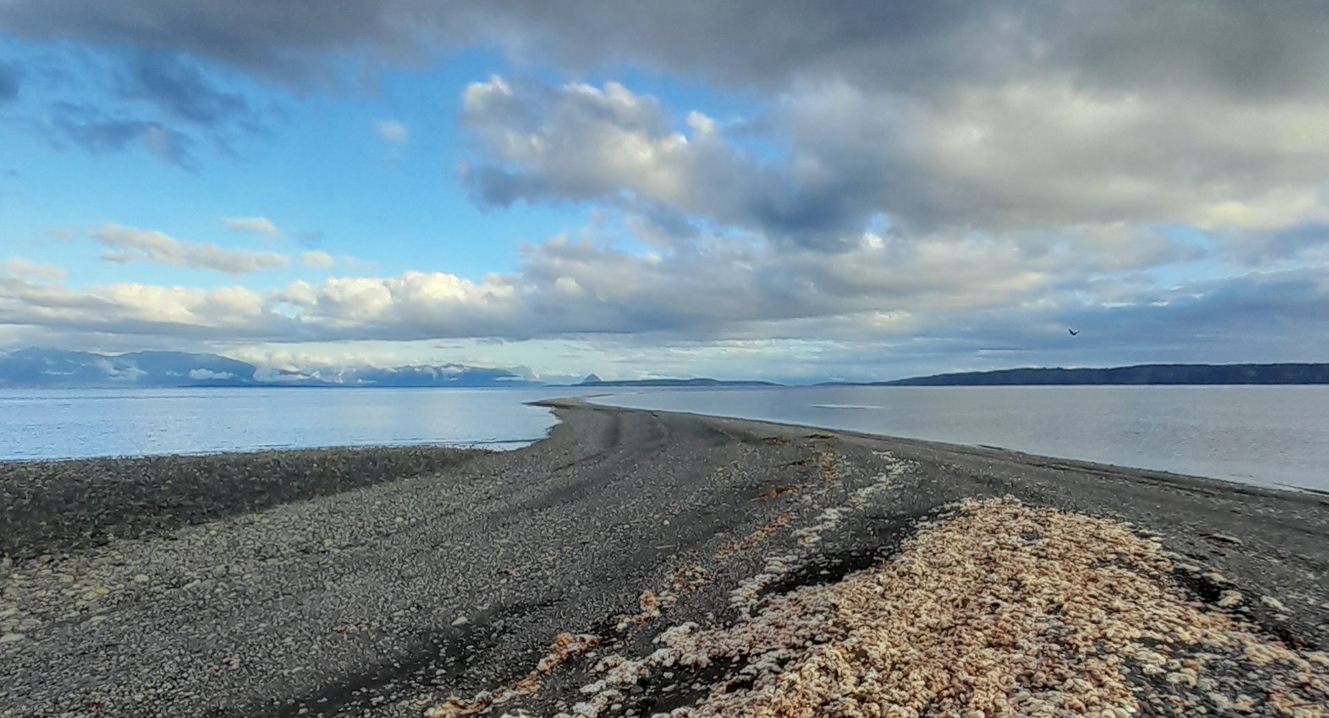 Veleros oceánicos todo incluido Patagonia Norte