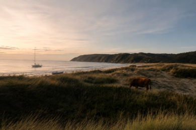 Chiloe-en-veleros